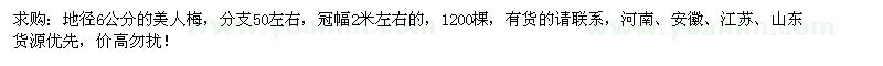 求購地徑6公分美人梅