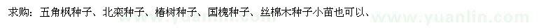 求購五角楓種子、北欒種子、椿樹種子等