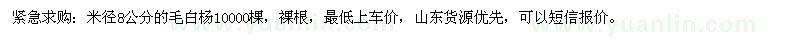求購米徑8公分毛白楊