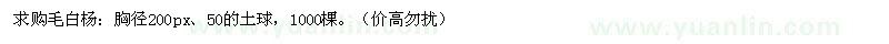 求購胸徑200公分毛白楊