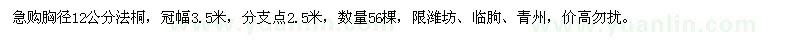 求購胸徑12公分法桐