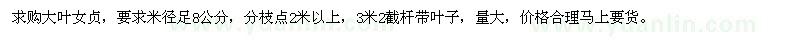 求購米徑8公分大葉女貞