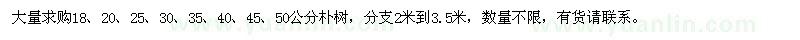 求購18、20、25、30、35、40、45、50公分樸樹(shù)