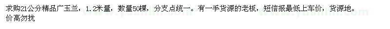 求購1.2米量21公分廣玉蘭