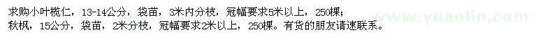 求購13-14公分小葉欖仁、15公分秋楓