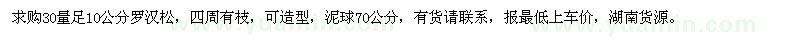求購30量足10公分羅漢松