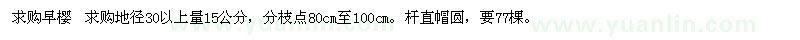 求購地徑30以上量15公分早櫻 
