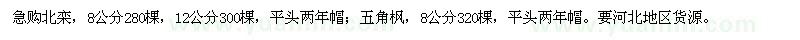 求購北欒、五角楓