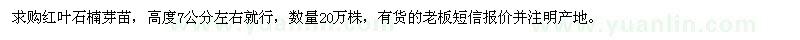 求購高7公分紅葉石楠芽苗