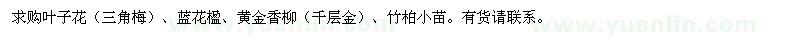 求購葉子花、藍花楹、黃金香柳等