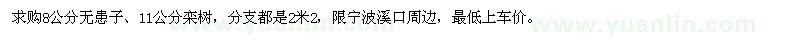 求購8公分無(wú)患子、11公分欒樹(shù)