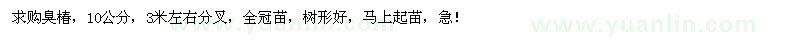 求購10公分臭椿