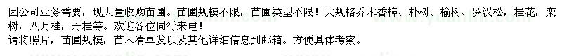 求購(gòu)香樟、樸樹(shù)、榆樹(shù)等