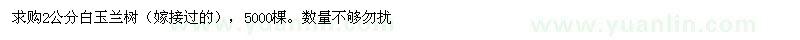 求購2公分白玉蘭