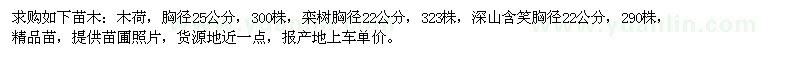 求購(gòu)木荷、欒樹、深山含笑