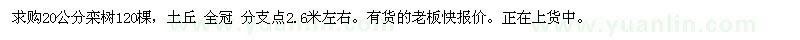 求購20公分欒樹(shù)