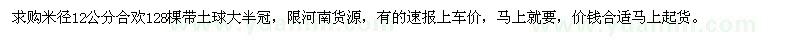 求購米徑12公分合歡