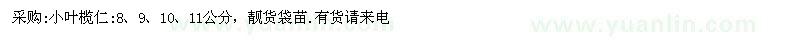 求購8、9、10、11公分小葉欖仁