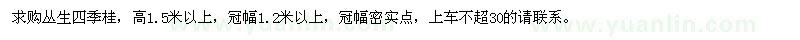 求購高1.5米以上四季桂