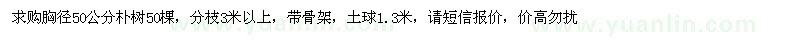 求購(gòu)胸徑50公分樸樹