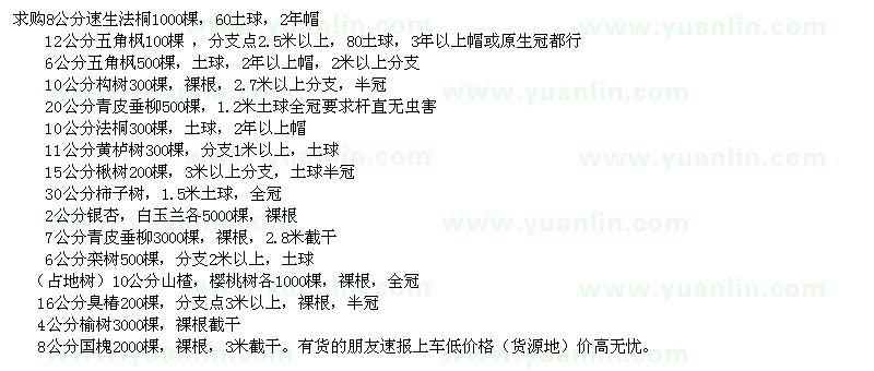 求購(gòu)速生法桐、五角楓、構(gòu)樹(shù)等