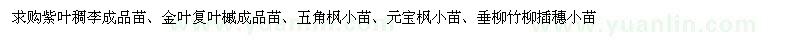 求購(gòu)紫葉稠李、金葉復(fù)葉槭、五角楓等