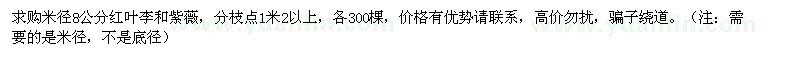 求購(gòu)米徑8公分紅葉李、紫薇