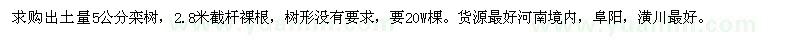 求購出土量5公分欒樹