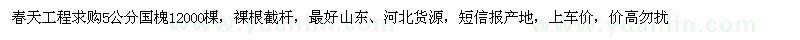 求購5公分國槐