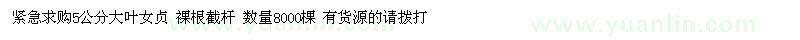 求購5公分大葉女貞