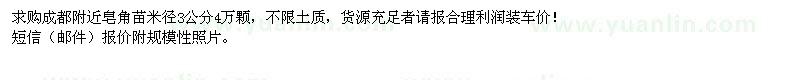 求購米徑3公分皂角苗