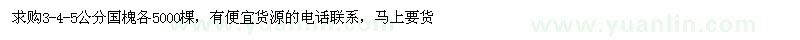 求購3-5公分國槐