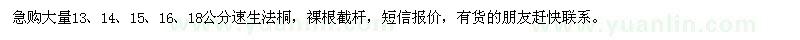 求購(gòu)13-18公分速生法桐