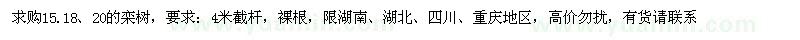 求購15-20公分欒樹