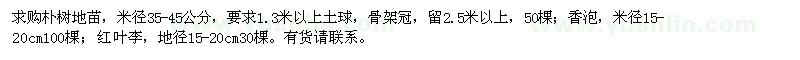 求購樸樹地苗、香泡、紅葉李等