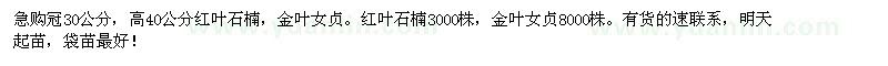 求購冠30公分紅葉石楠，金葉女貞