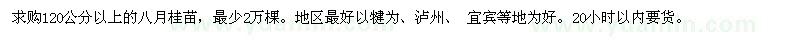 求購120公分以上八月桂苗