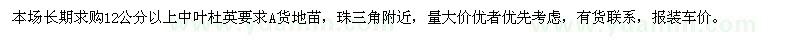 求購12公分以上中葉杜英