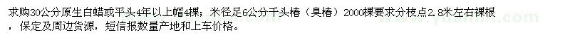 求購白蠟、千頭椿、臭椿