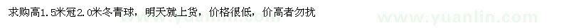 求購(gòu)高1.5米冬青球