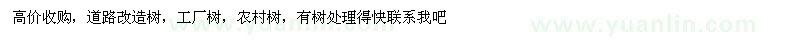 求購(gòu)榕樹(shù)