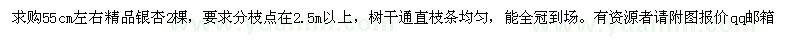 求購胸徑55公分左右精品銀杏