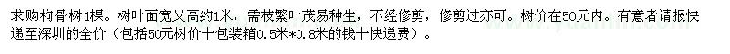 求購有刺枸骨樹