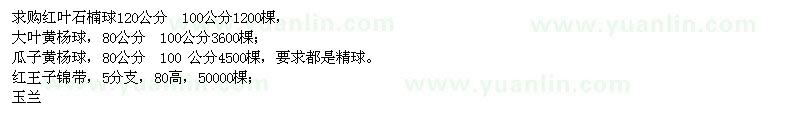 求購大葉黃楊球、瓜子黃楊球、紅王子錦帶等