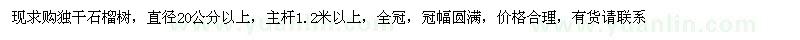 求購直徑20公分以上石榴樹