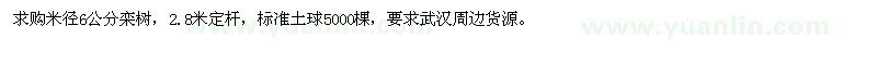 求購米徑6公分欒樹