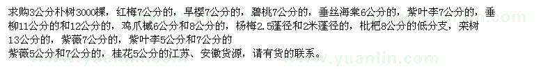 求購樸樹、紅梅、早櫻等