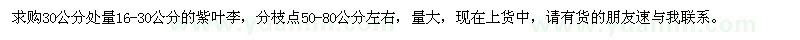 求購(gòu)30公分處量16-30公分紫葉李