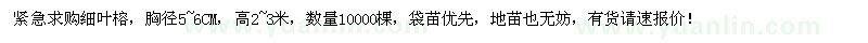 求購(gòu)胸徑5-6公分細(xì)葉榕