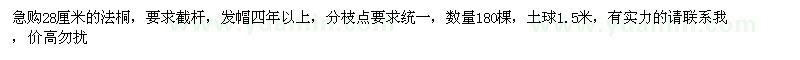 求購28公分法桐